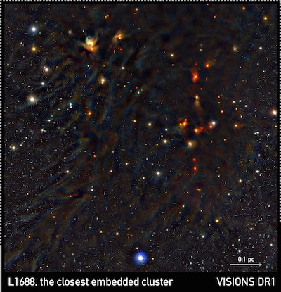Near-infrared view of L1688, the closest embedded cluster, from VISIONS Data Release 1